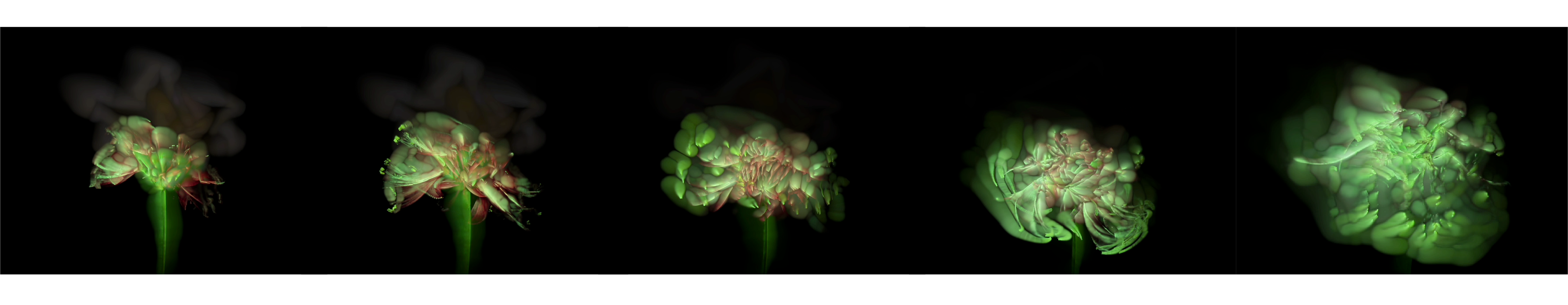 Empathize with Nature, digital moving-image still by Wu Yi, 2023